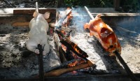 Philippino Lechon Baboy = gegrilltes Spanferkel