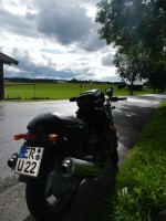 Nach dem Sommer-Regen