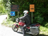 Abruzzen: Heute noch kein Problembär in Sicht...