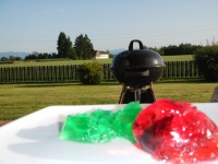 27.JPG (198.26 KiB) 3420 mal betrachtet Waldmeister zum Abendessen