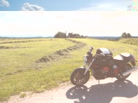 25.JPG (217.79 KiB) 3420 mal betrachtet Frisches Heu