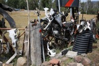 suzuki.jpg (227.21 KiB) 8228 mal betrachtet so kanns kommen, wenn man das falsche Motorrad fährt!