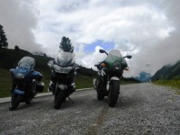 .DSCN6468klein.JPG (218.57 KiB) 5506 mal betrachtet ...unter Kuehen :-)